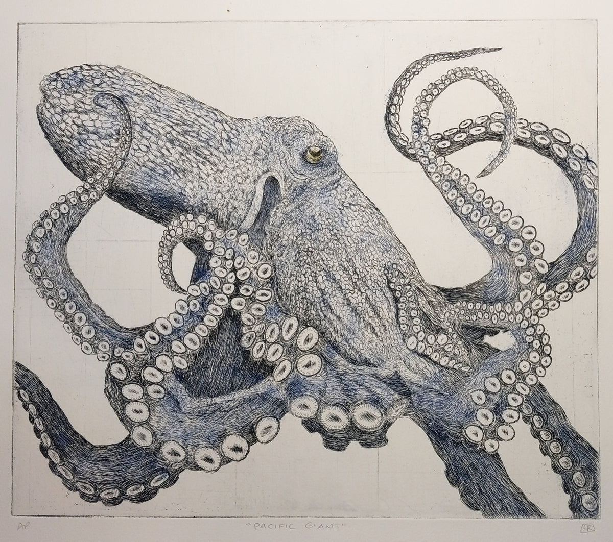 Pacific Giant Octopus - Blue a la poupée version (one of a kind)