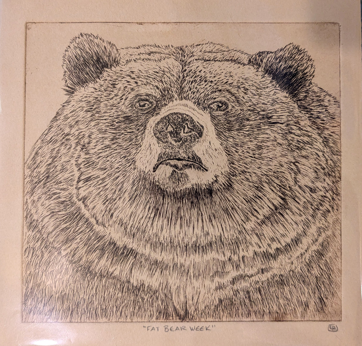 Fat Bear Etching