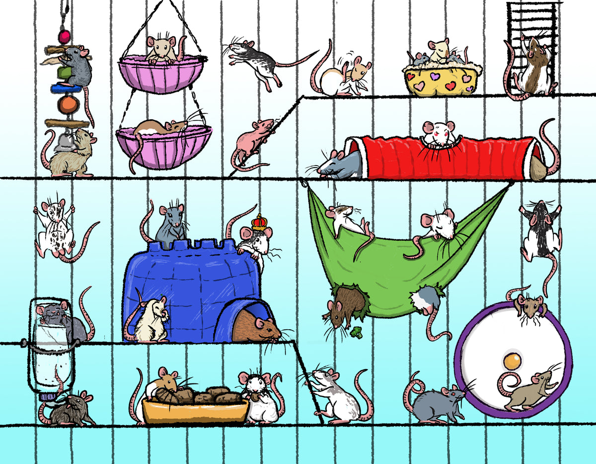 Ratvent 30 Days of Rat Fun Calendar