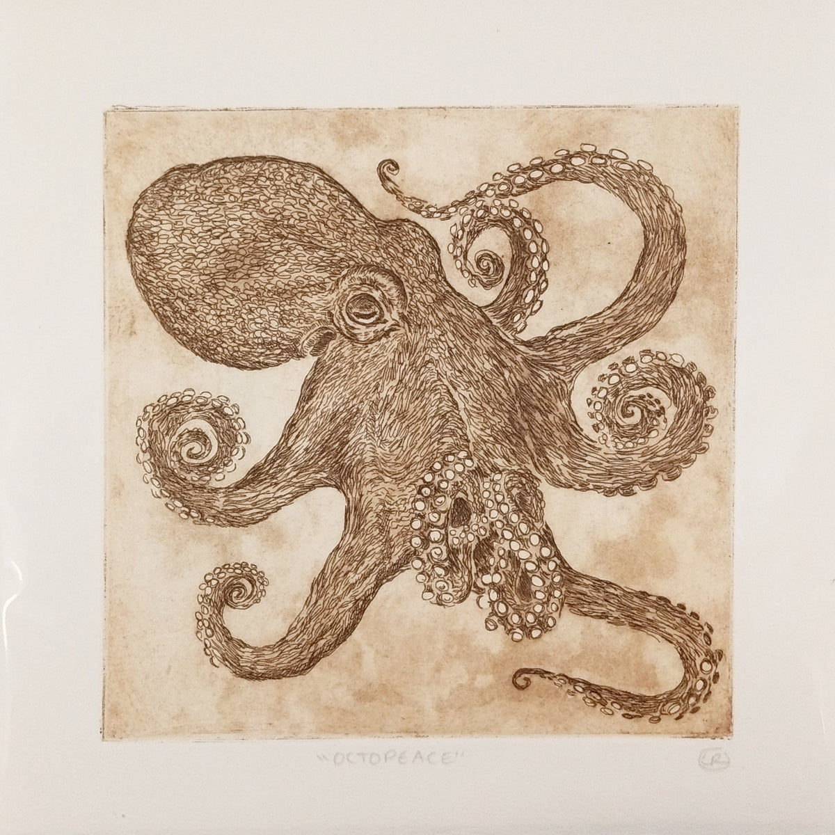 Copy of Octopeace Octopus Etching Sepia