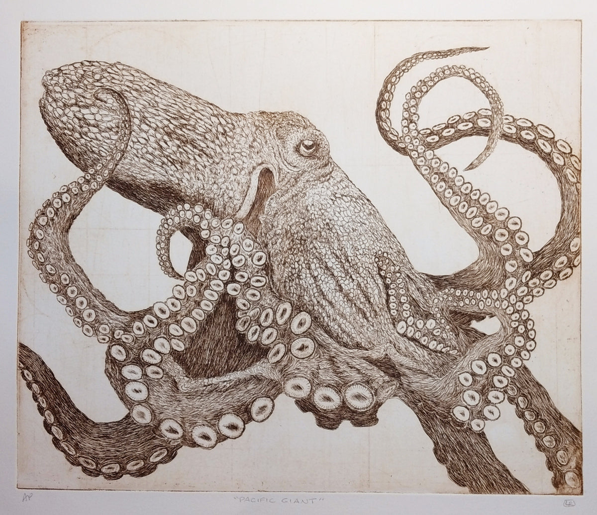 Pacific Giant Octopus - Sepia Edition