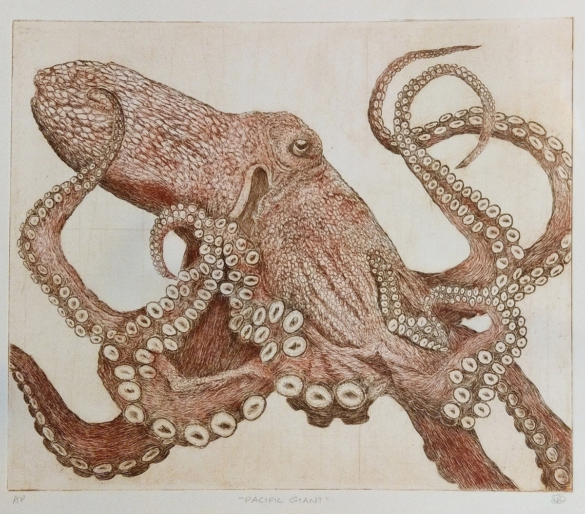 Pacific Giant Octopus - a la poupée color version (one of a kind)